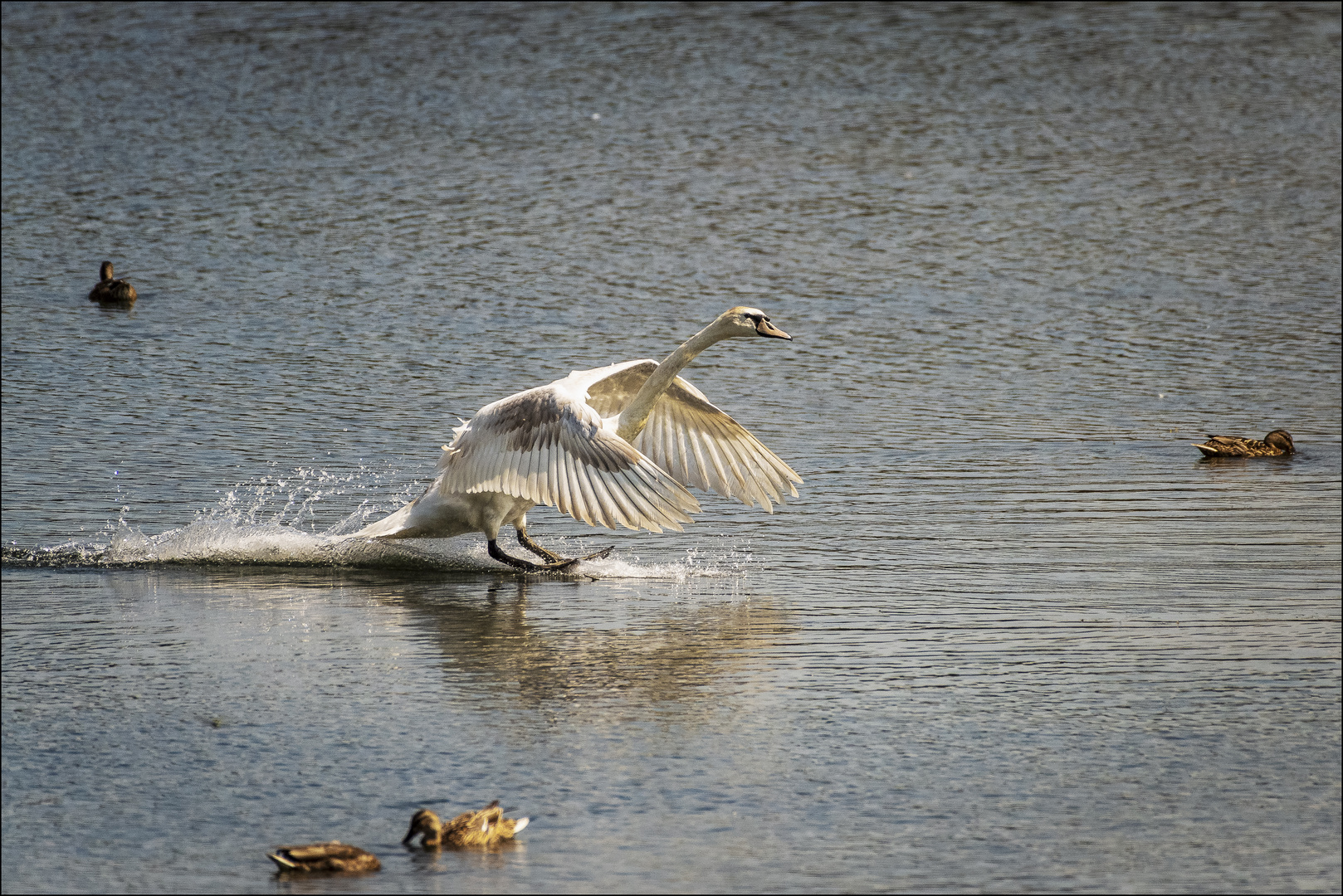 Uuund Touchdown ;-)))