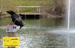 Uuuups - das zwickt aber ganz schön ;-)