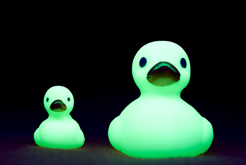 UV Enten bei Nacht