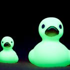 UV Enten bei Nacht