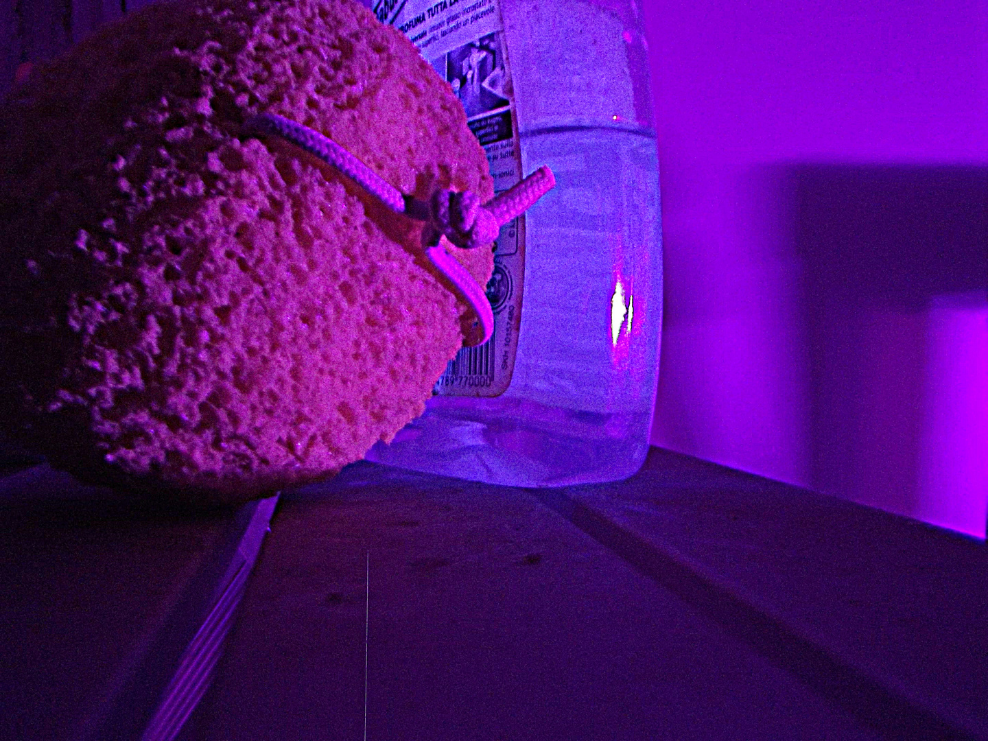UV sponger and bottle