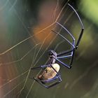 UWEC Entebbe, Uganda