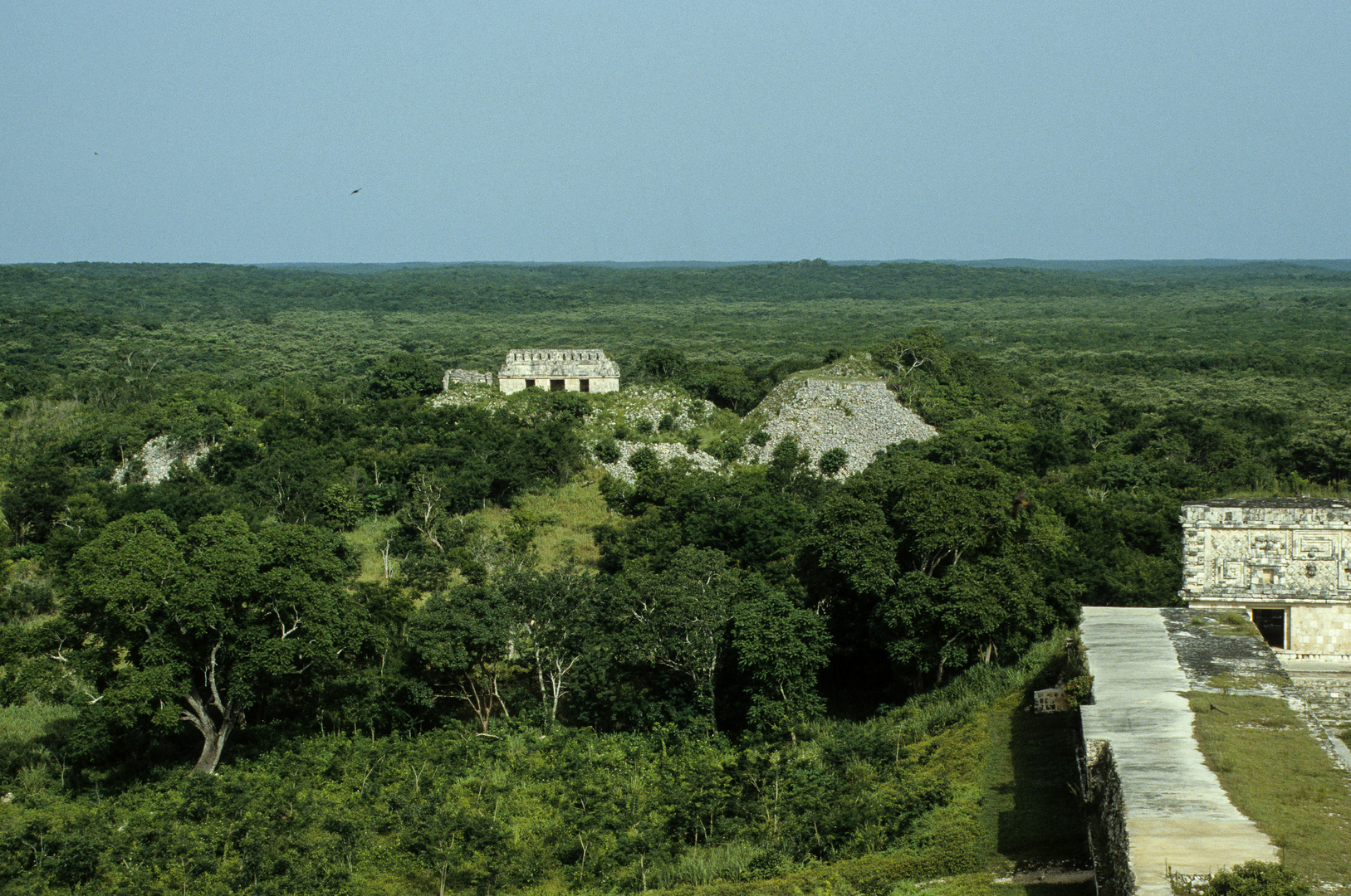  Uxmal, Blick von der Wahrsagerpyramide