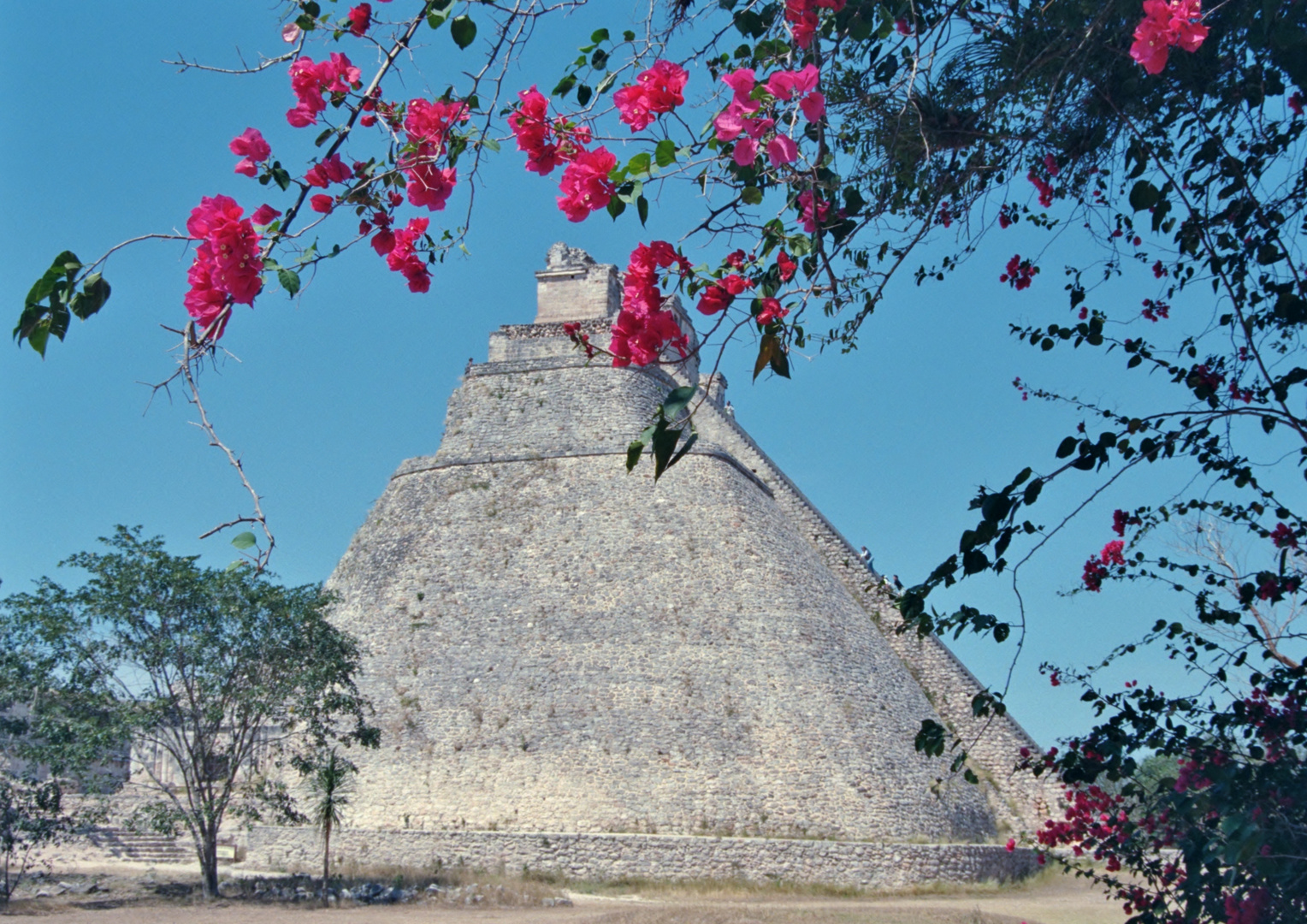 uxmal, site maya tres bien restaurè Photo analogique de 1984