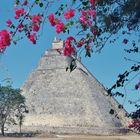 uxmal, site maya tres bien restaurè Photo analogique de 1984