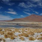 Uyuni