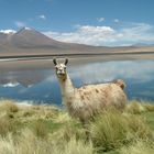 UYUNI