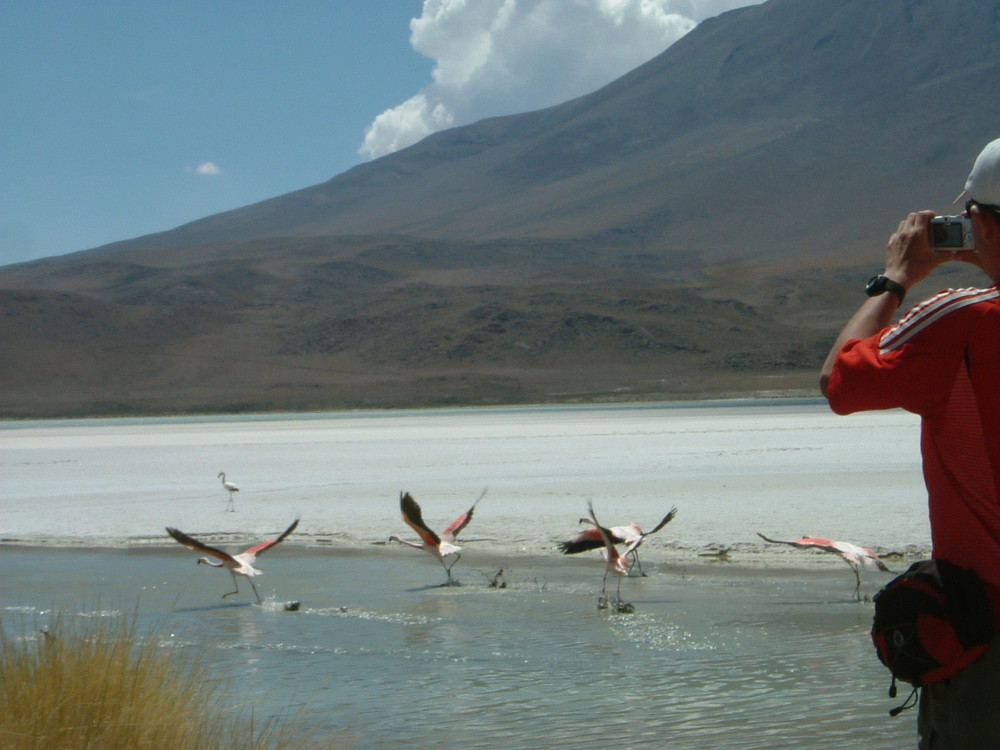 uyuni