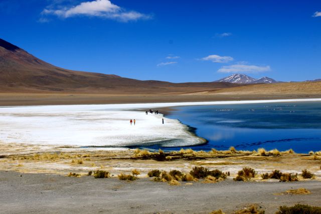 Uyuni Laguna colorada (Bolivia)