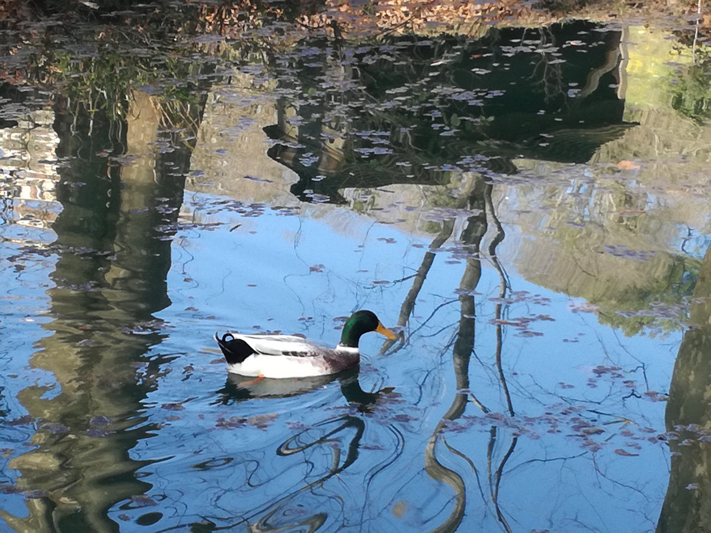 Uzès, la Vallée de l'Eure, aujourd'hui ...