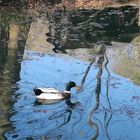 Uzès, la Vallée de l'Eure, aujourd'hui ...