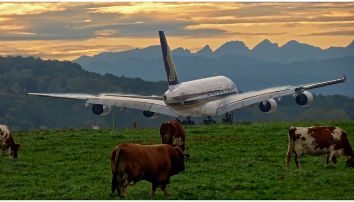 +++v e r f l o g e n ? +++