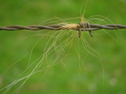 ... v e r k n o t e t !!!...