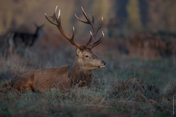 v o l l . e n t s p a n n t . z u r . m o r g e n s t u n d 