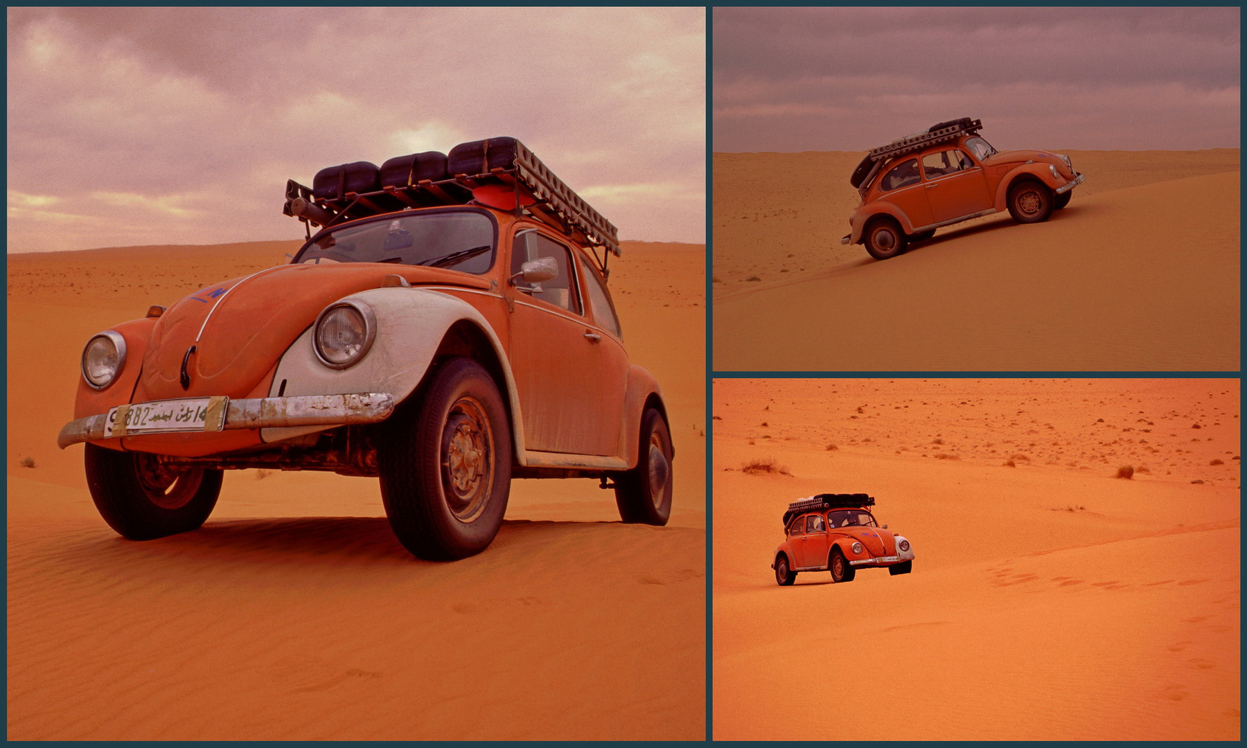 V W D U N E N T R I P Foto Bild Africa North Africa Wustenkafer Bilder Auf Fotocommunity