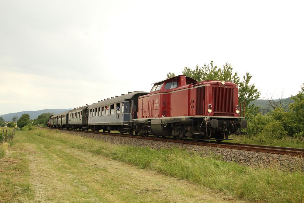 V100 2299 und 58 311 beim Plandampf Pfalz 2014