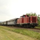 V100 2299 und 58 311 beim Plandampf Pfalz 2014