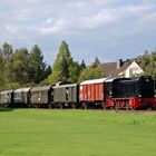 V36 412 auf der Teutoburger Wald Eisenbahn