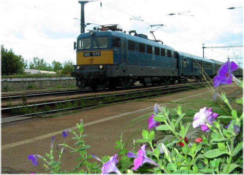 V43 1176 in Kápolnásnyék