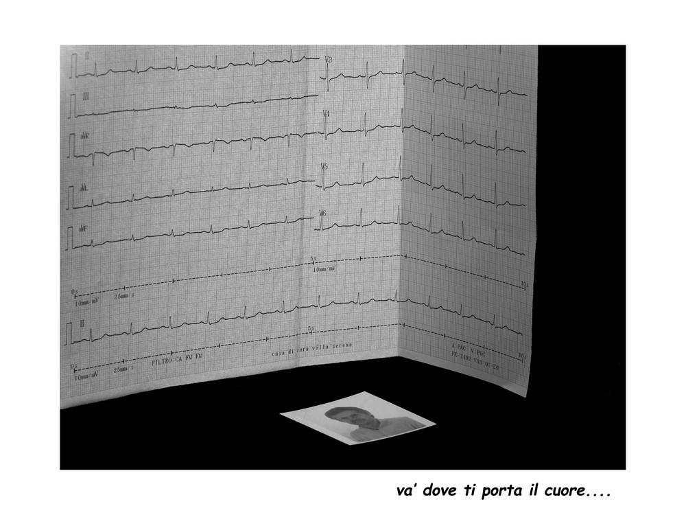 va' dove ti porta il cuore