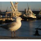 V&A Waterfront Kapstadt