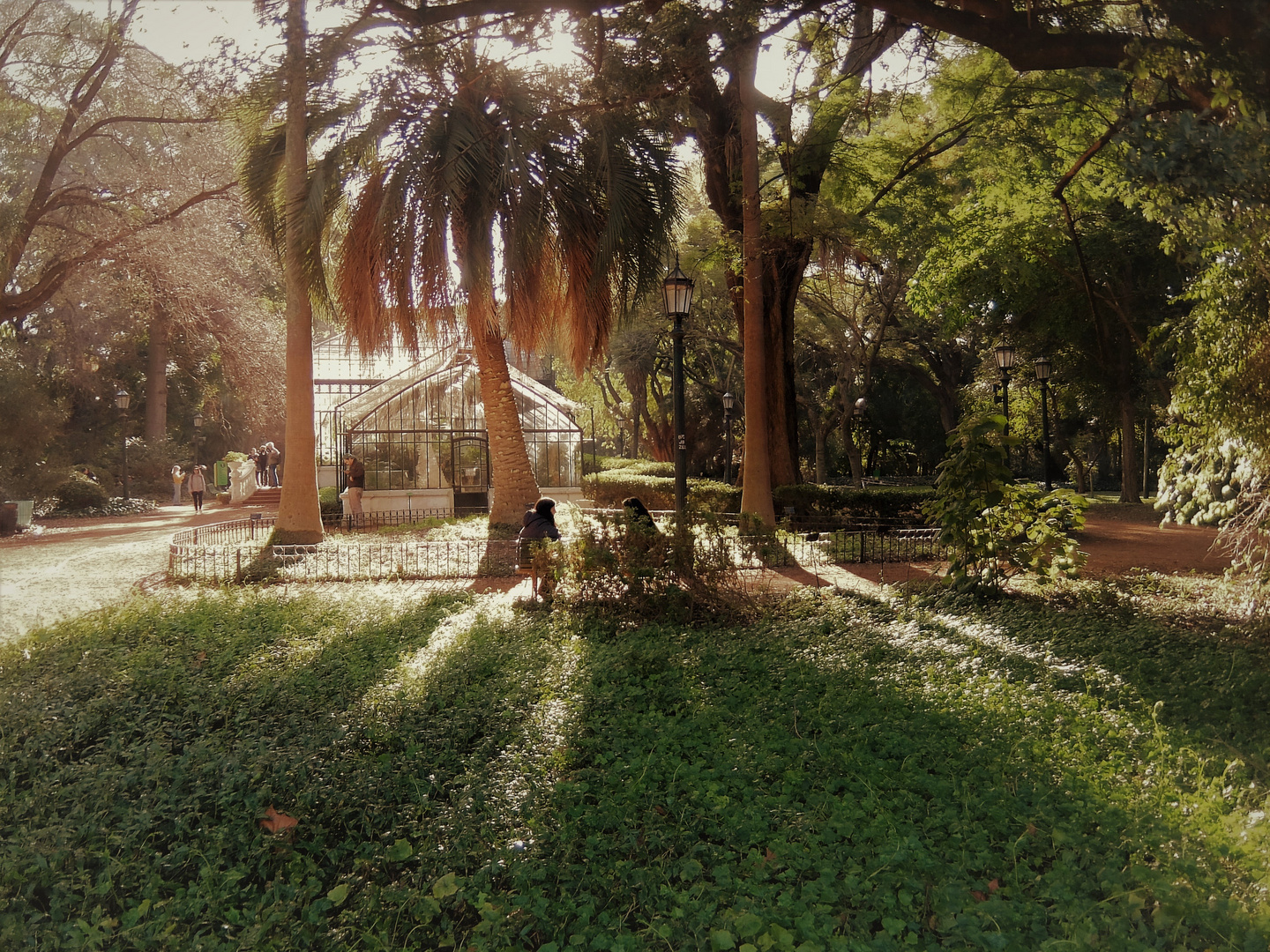 VACACIONES DE INVIERNO,EL BOTANICO