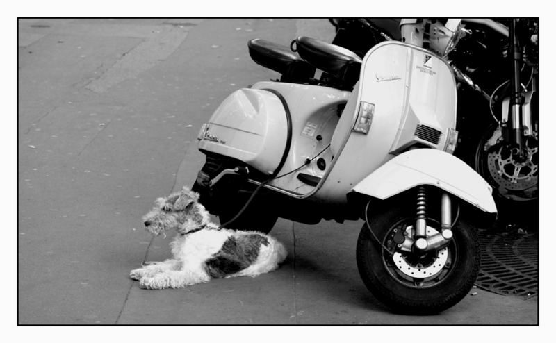 Vacanze Parigine...con la Vespa...