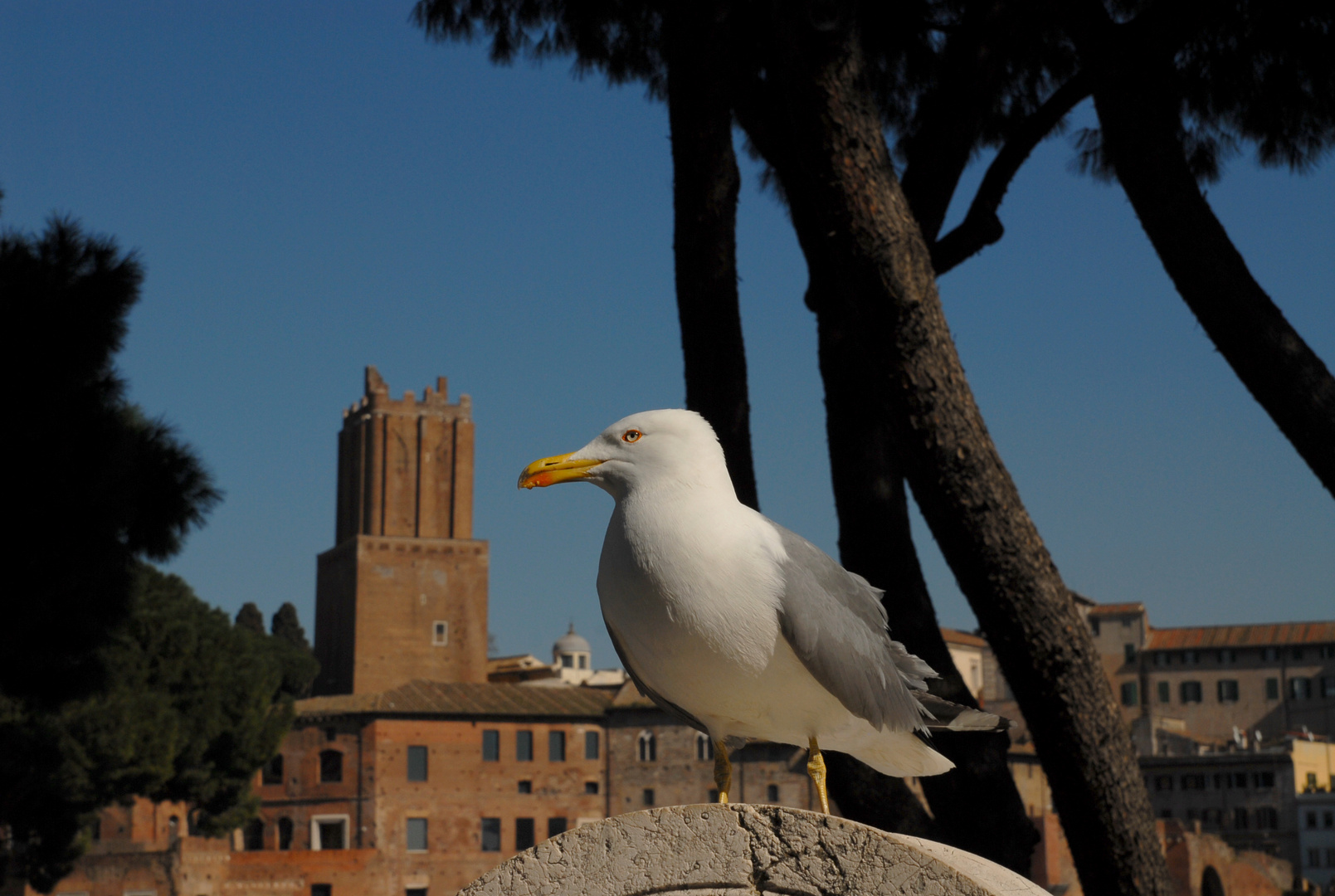 Vacanze romane per Jonathan