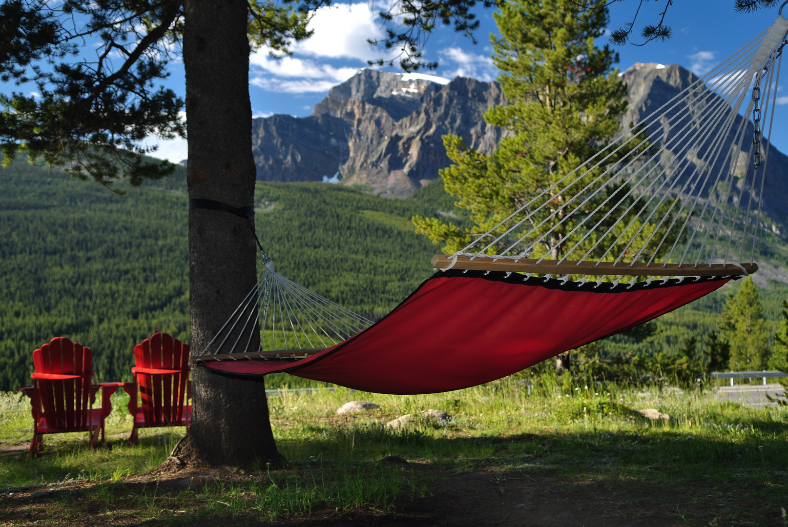 Vacation Hammock