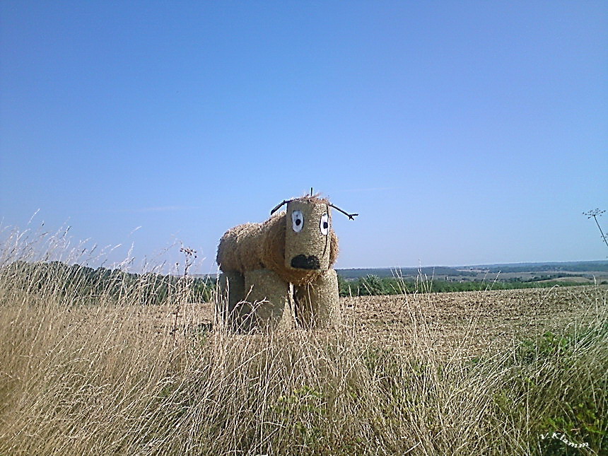 Vache de costume !