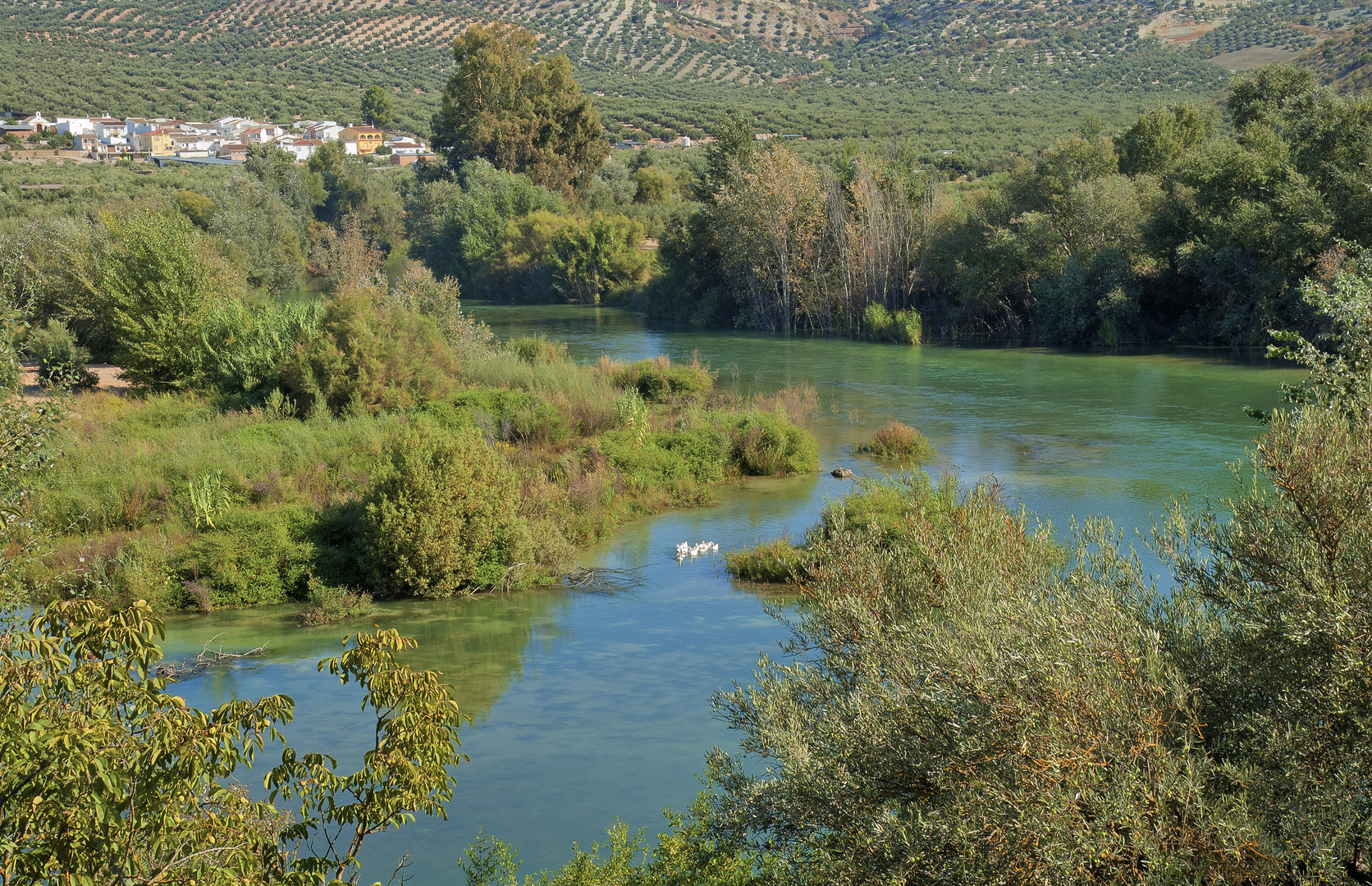 VADOFRESNO Y EL RÍO GENIL