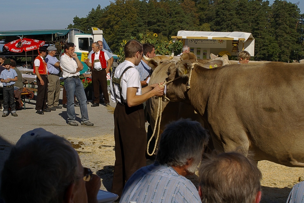 Vähschau-2009 - die Prämierung