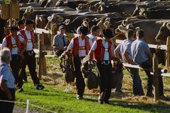 Vähschau 2009 - fertig zum Abtrieb