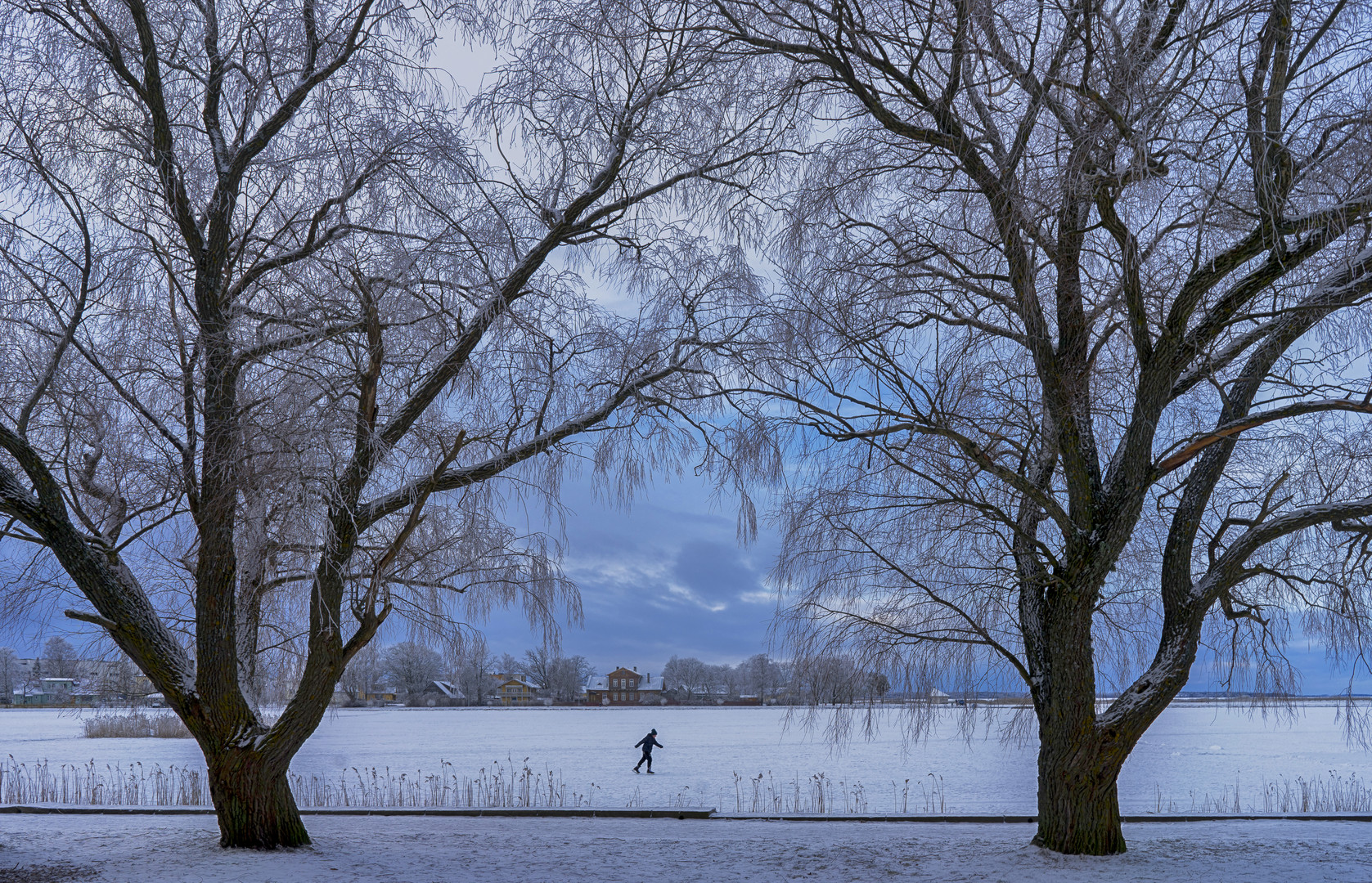 Väike Viik Winter