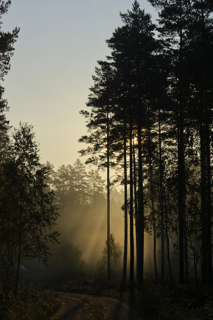 Välen, Sweden