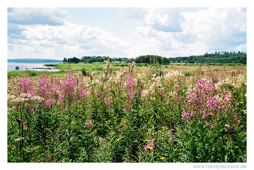 Värmland