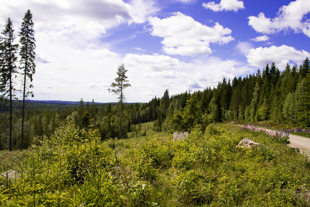 Värmland