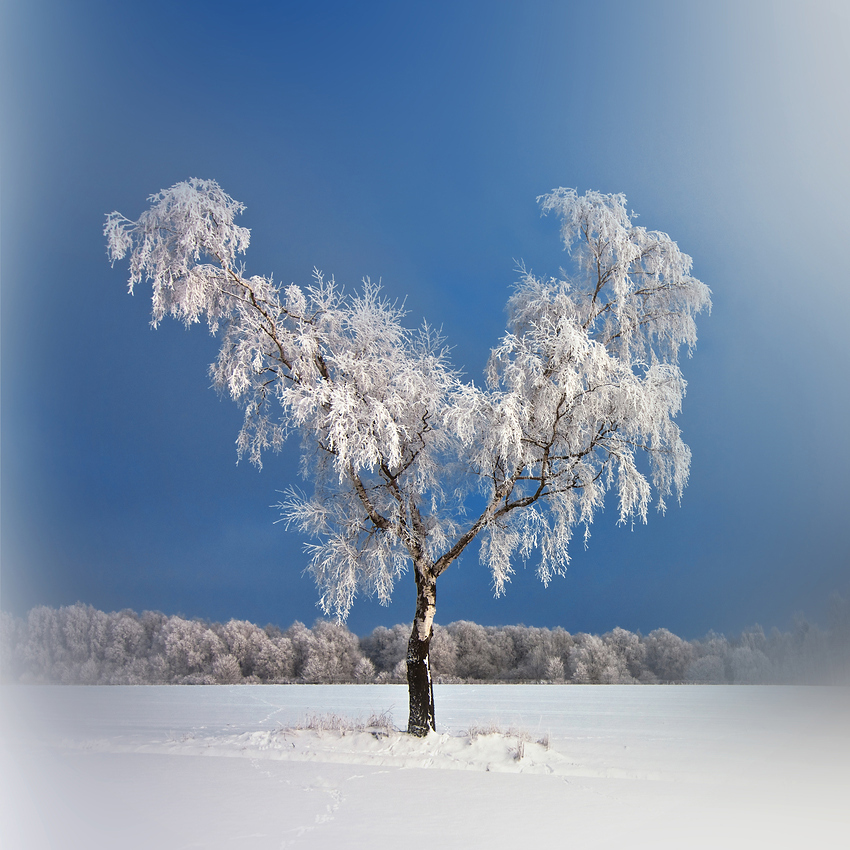 Väterchen Frost...