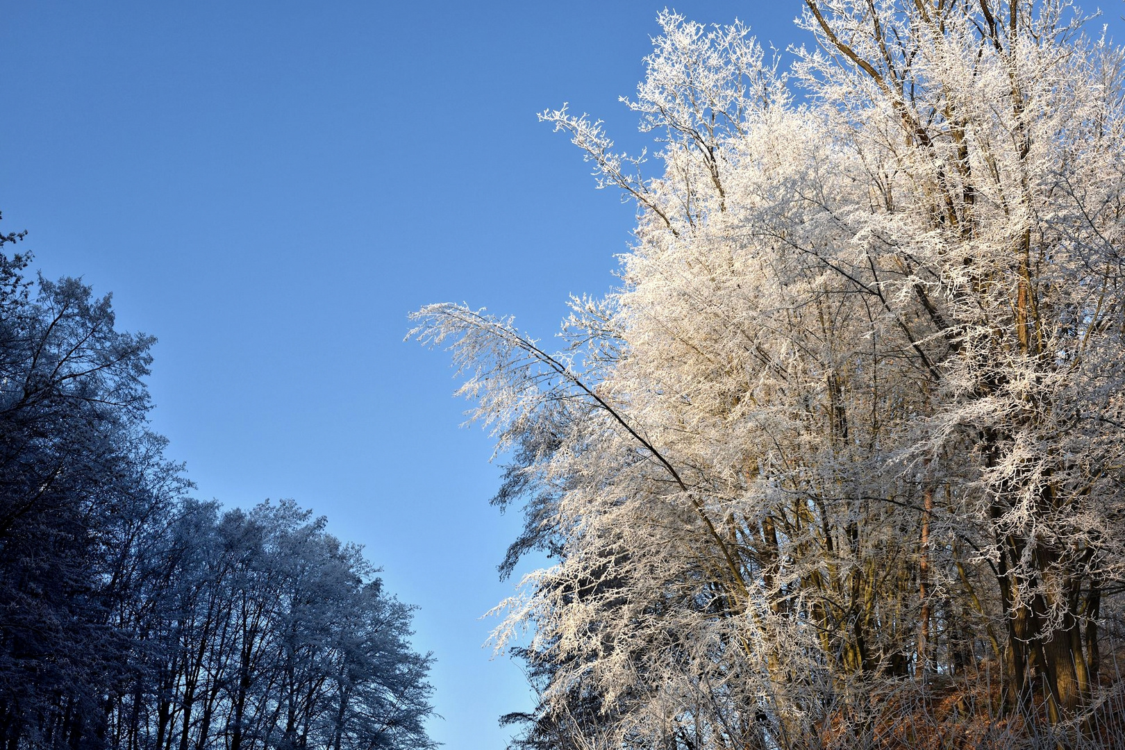 väterchen frost