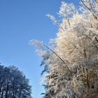 väterchen frost