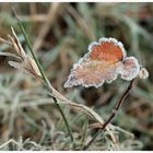 Väterchen Frost