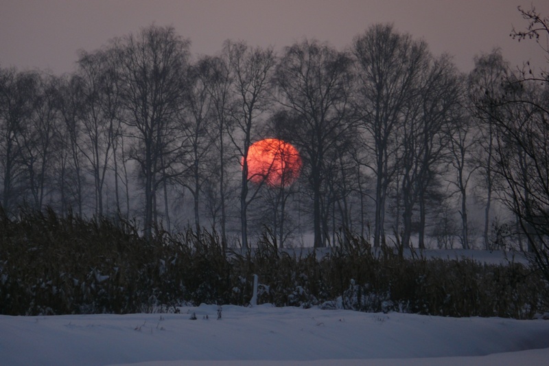 Väterchen Frost