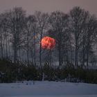 Väterchen Frost