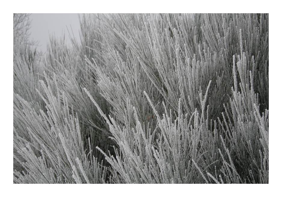 Väterchen Frost