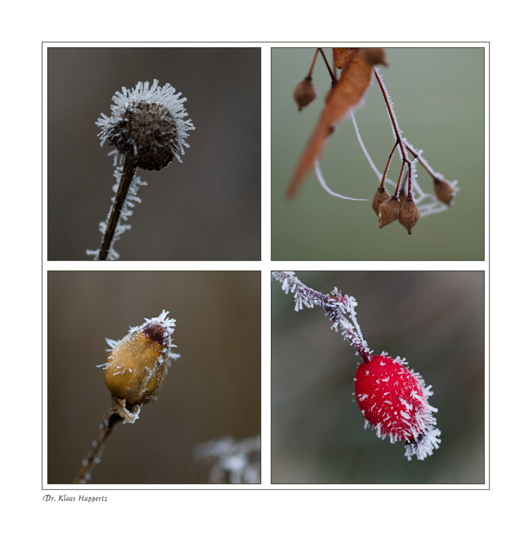 Väterchen Frost (1)