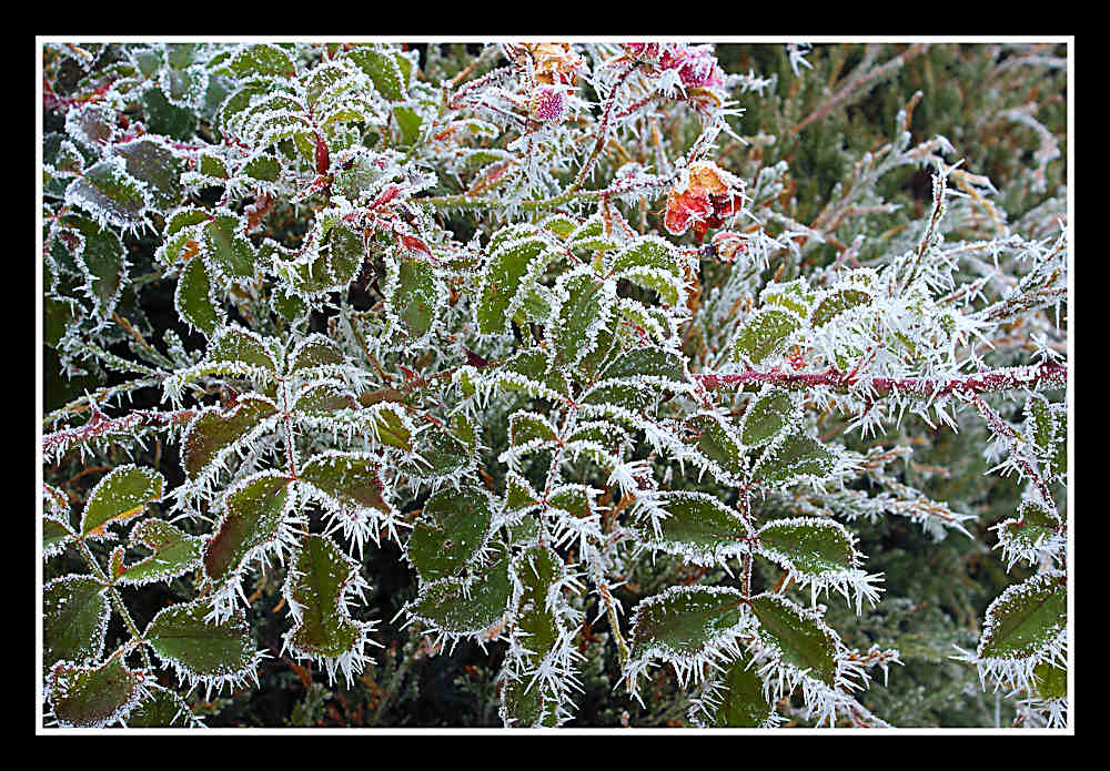 Väterchen Frost 1