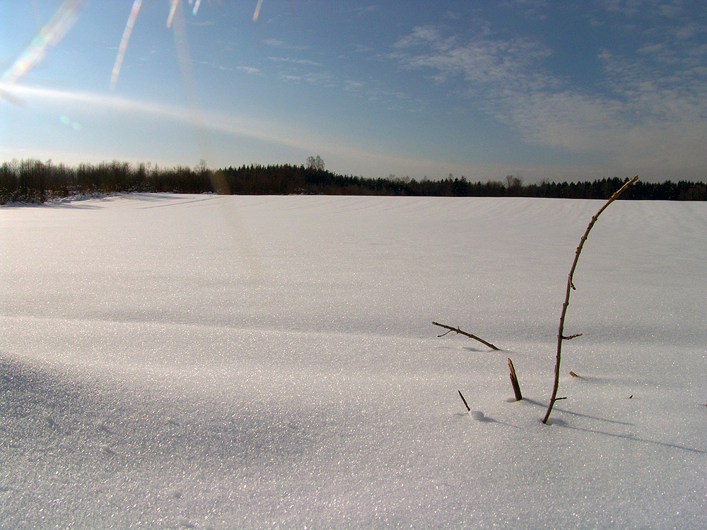 Väterchen Frost von Patrick Scheer