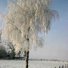 Väterchen Frost