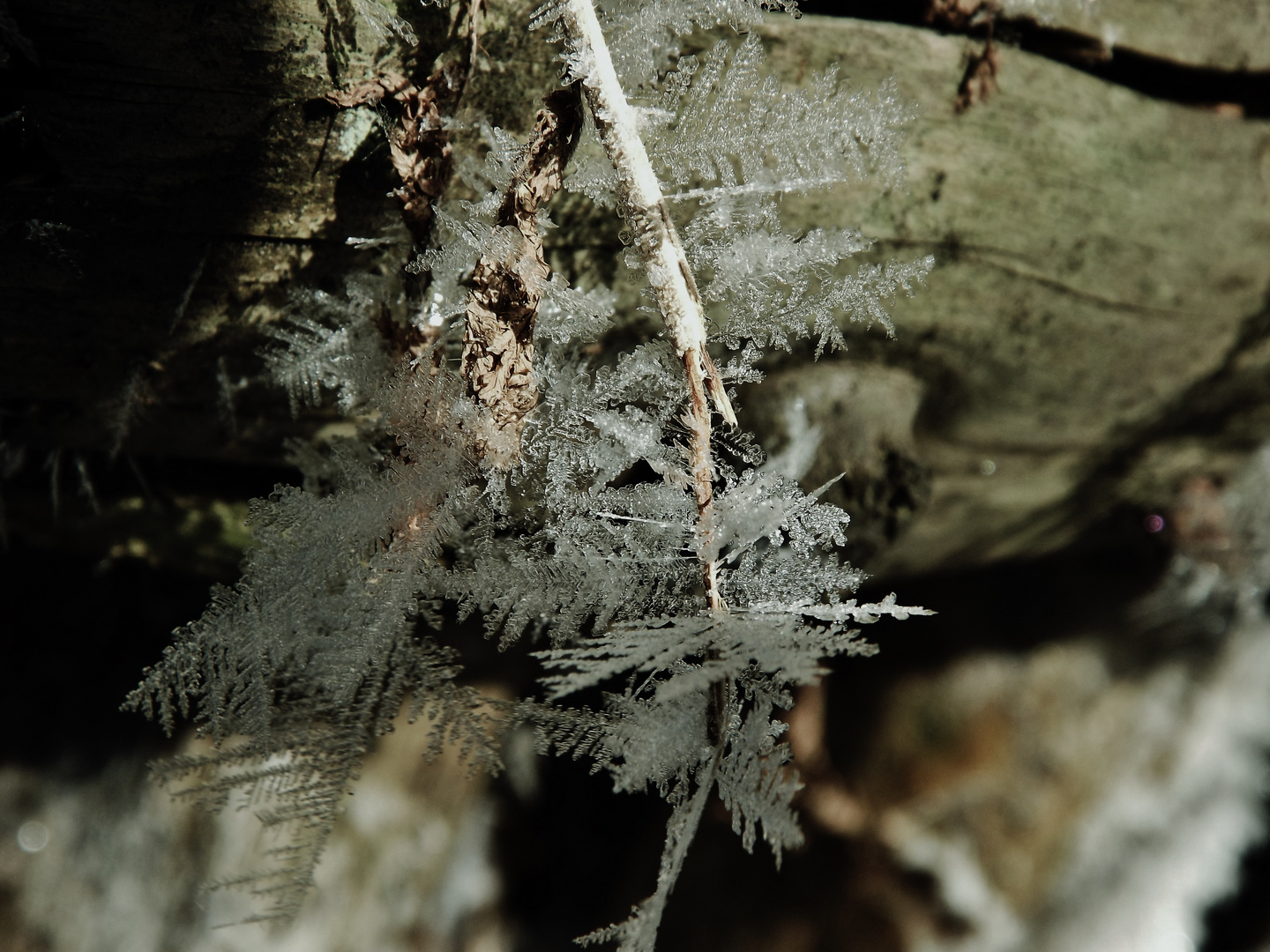 Väterchen Frost