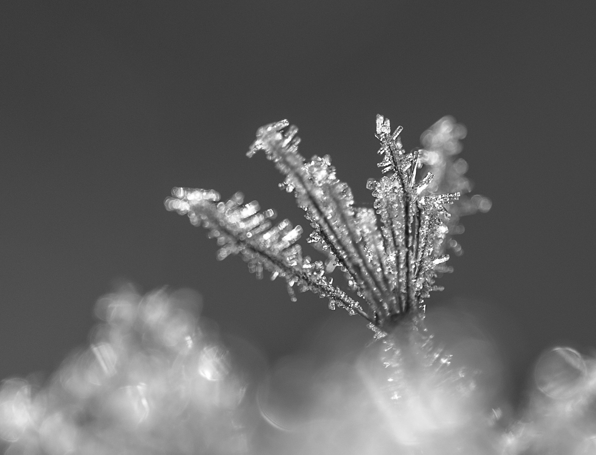 Väterchen Frost